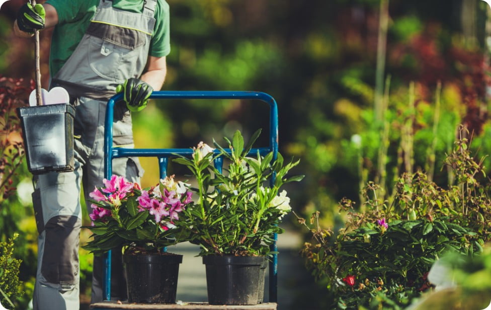 LANDSCAPING COMPANY